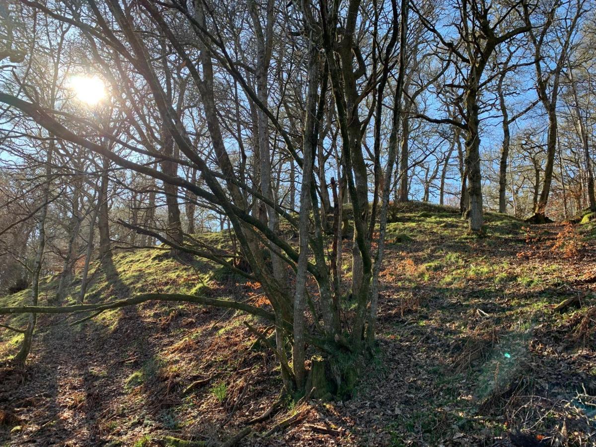 Loch Ness Woodland Pods Hotel Drumnadrochit Exterior foto